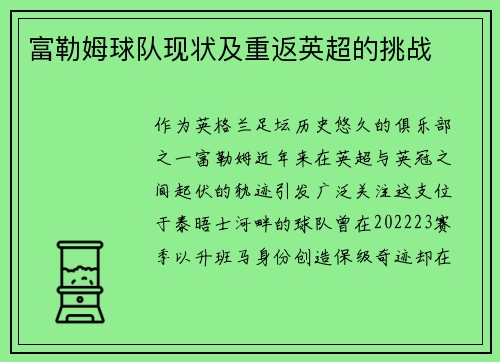 富勒姆球队现状及重返英超的挑战