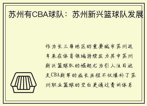 苏州有CBA球队：苏州新兴篮球队发展