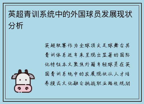 英超青训系统中的外国球员发展现状分析